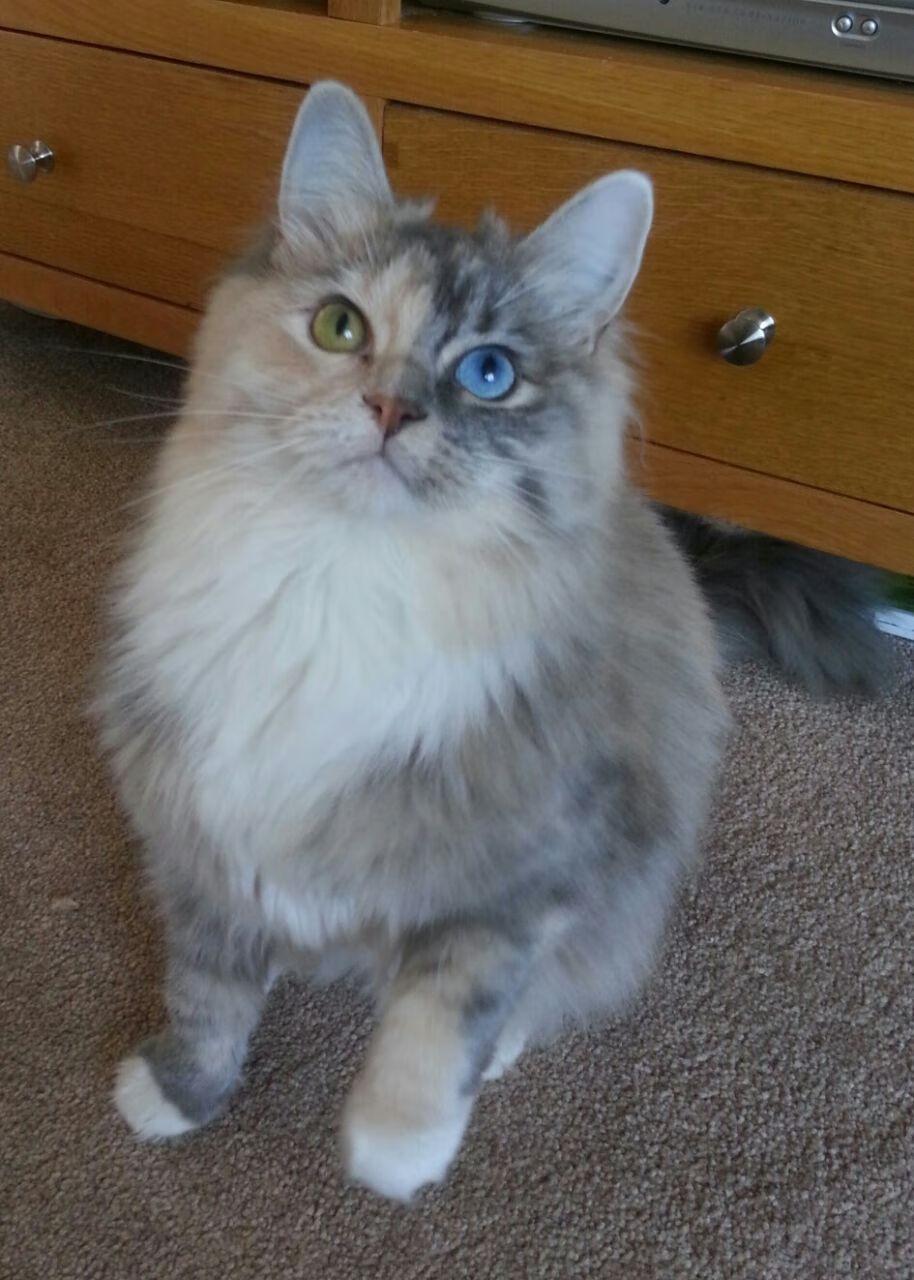 开云·Kaiyun网页版-_最后的狂欢：体育节日全城狂欢盛典_，最后的狂欢歌曲