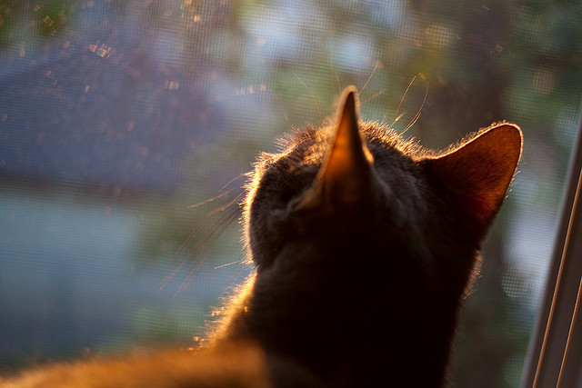 开云体育在线赛事直播-【智能传感器让球飞得更快】极限速度的背后科技支撑，智能传感器实现方式