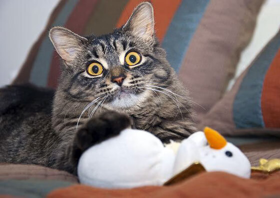 裁判员贪腐案曝光，涉案金额巨大，2021裁判员