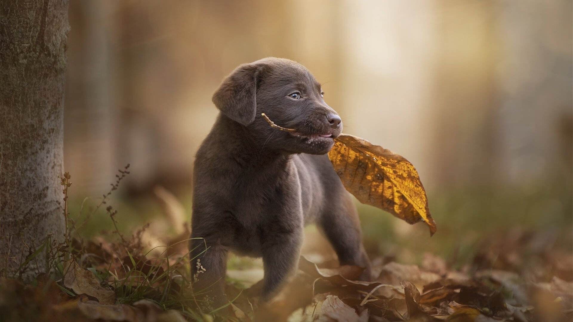 中超联赛赛程调整，比赛更加激烈紧凑，中超联赛的赛程