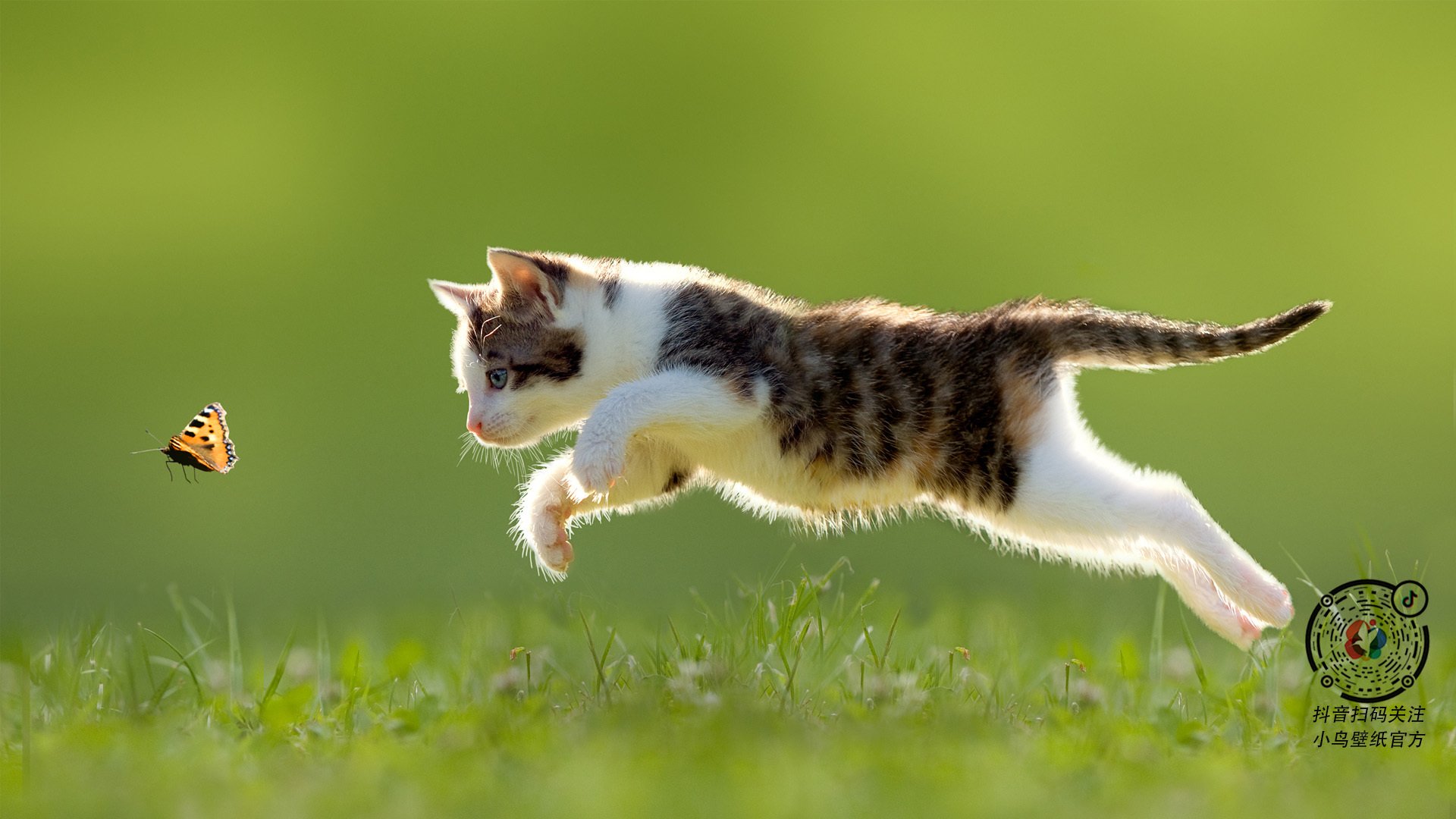 中超防守大战,球队实力对抗激烈,中超对阵规则