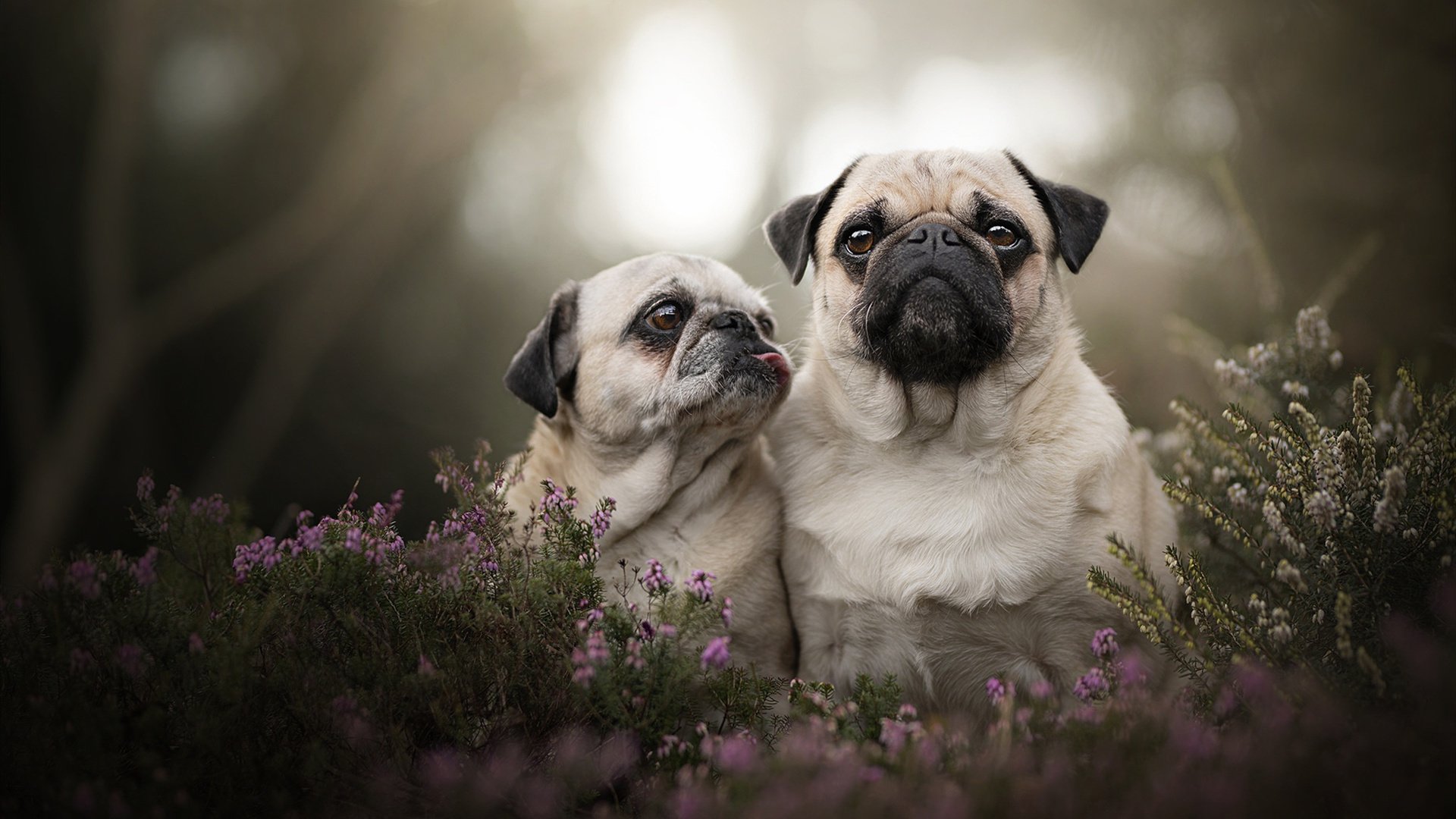哥伦比亚女足在巴黎奥运会比赛中以2-0战胜日本哥伦比亚队前锋马丁内斯在巴黎奥运会上表现出色