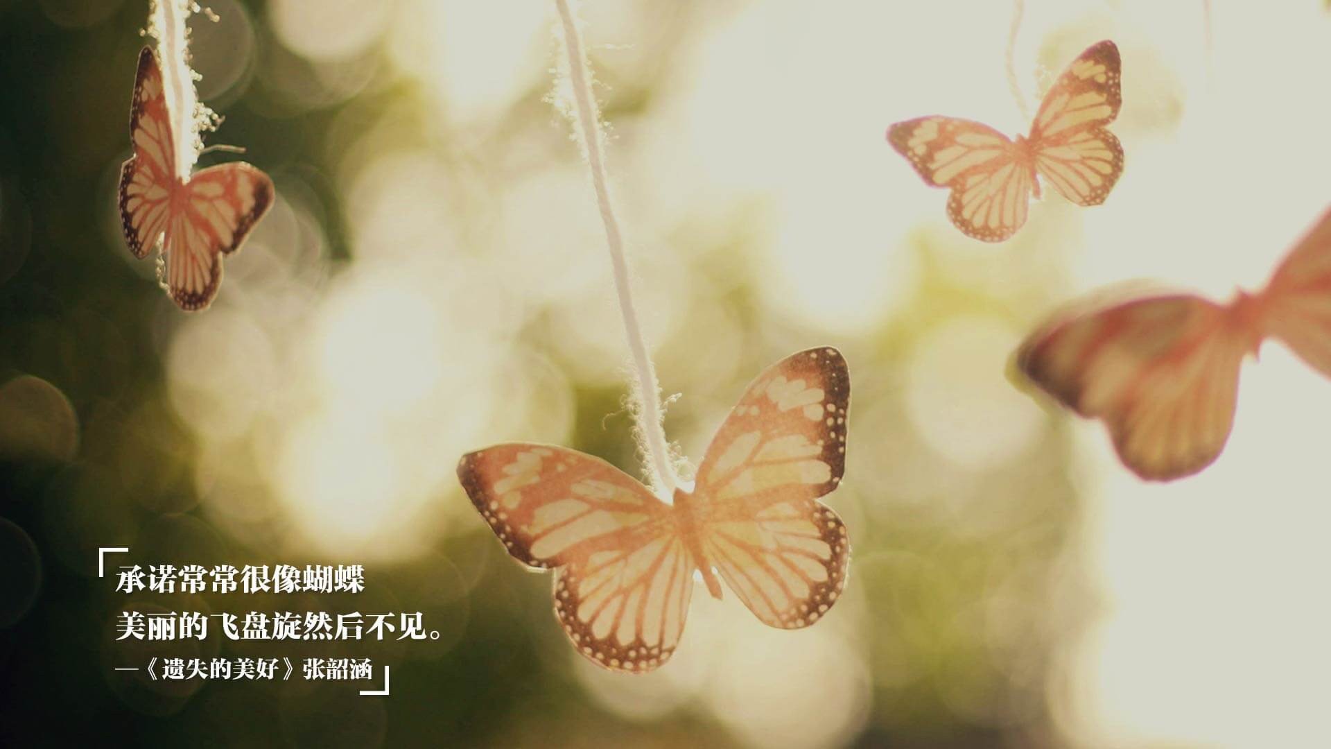 墨西哥队加强青训,培养未来之星,墨西哥队强不强