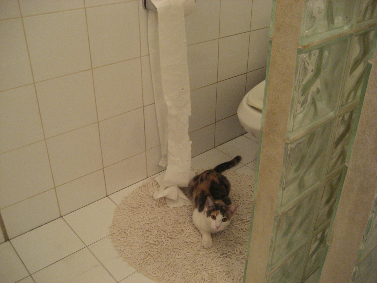 雄鹰主教练突然离职,球队动荡不安,雄鹰教主表情包