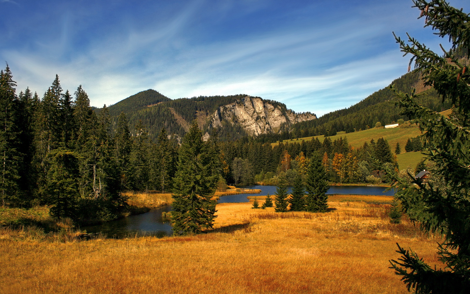 雄鹿巨星字母哥成为MVP热门,雄鹿字母哥伤势