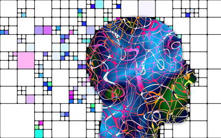 kaiyun开云·官方网站-中超球队中前场组织能力等级划分模型，中场 前锋