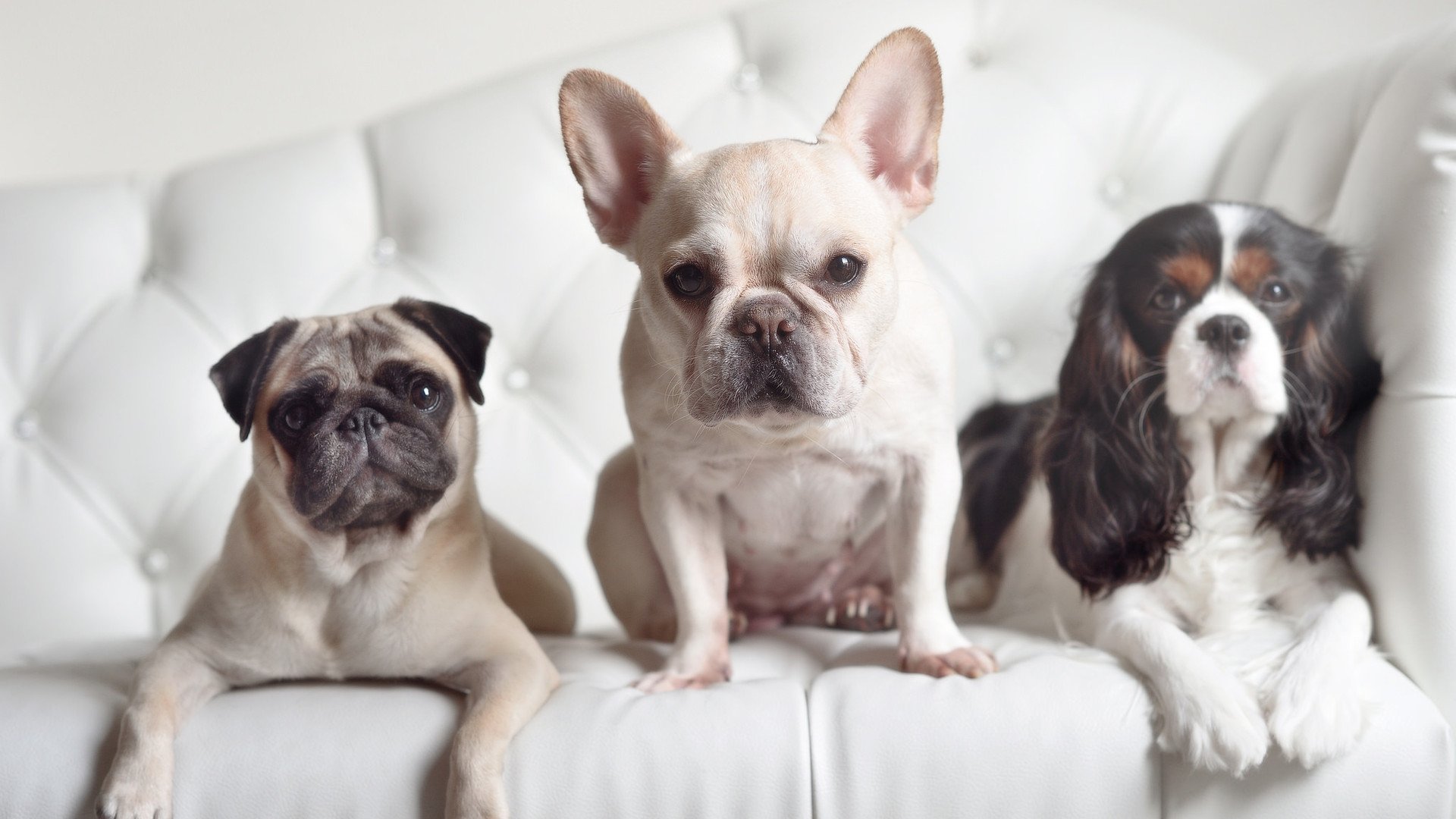 体育场馆安全标准完善，体育场馆规范