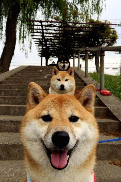 球场环境改善：未来足球场的绿色设计，足球场地设施建设规划