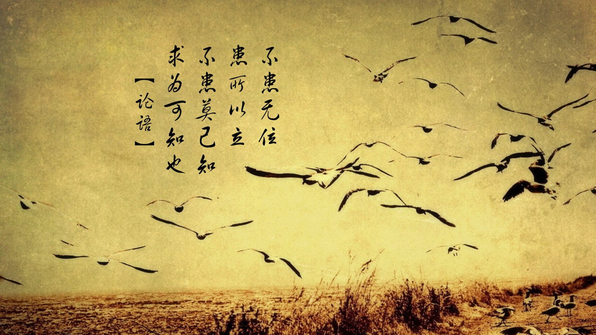 2024年印度队表现:勇于迎战,逐步成长为世界级队伍,二零二一年印度