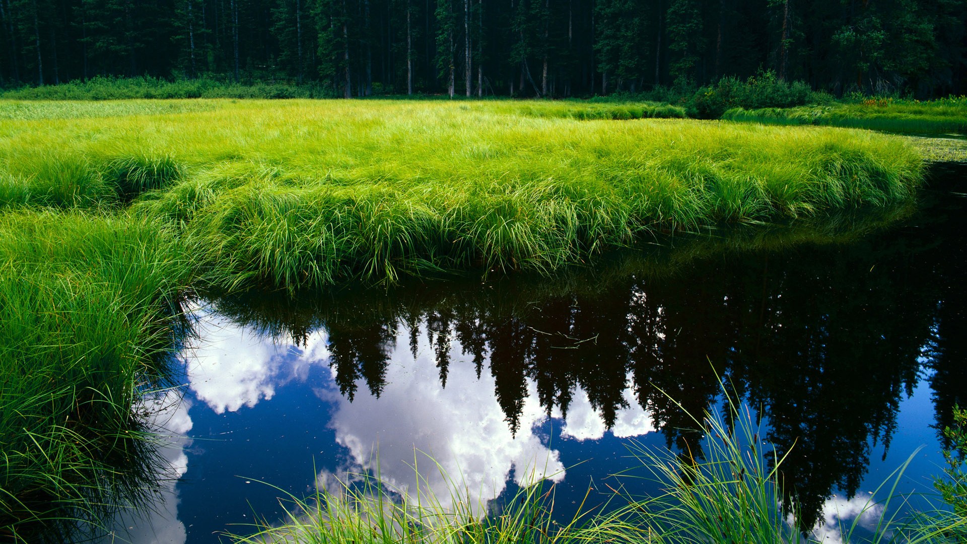 低调实力派球员表现分析,低调足球