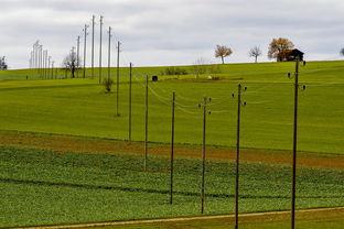 开云官网在线-球员体能负荷评估工具上线助力教练科学制定训练计划，体育负荷强度